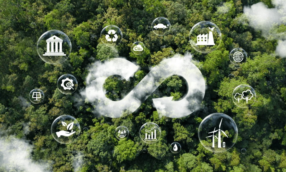 Ten actionable steps to net zero success