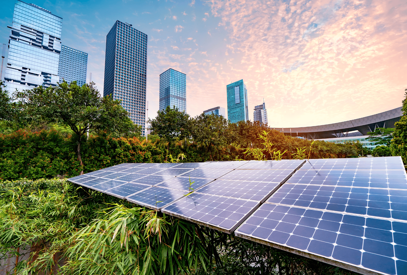 ISSB’s New Standards: simplifying sustainability reporting for greater credibility