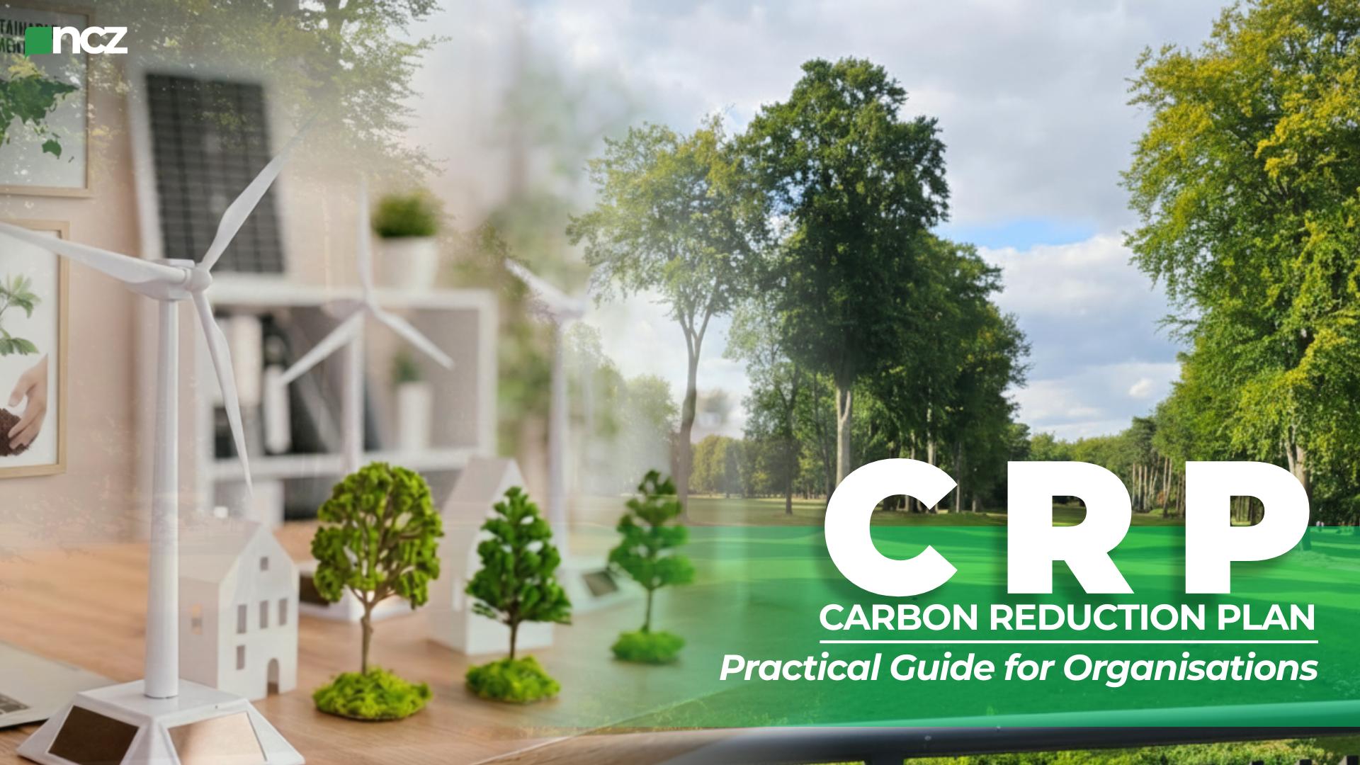 Carbon Reduction Plan (CRP): A Practical Guide for Organisations