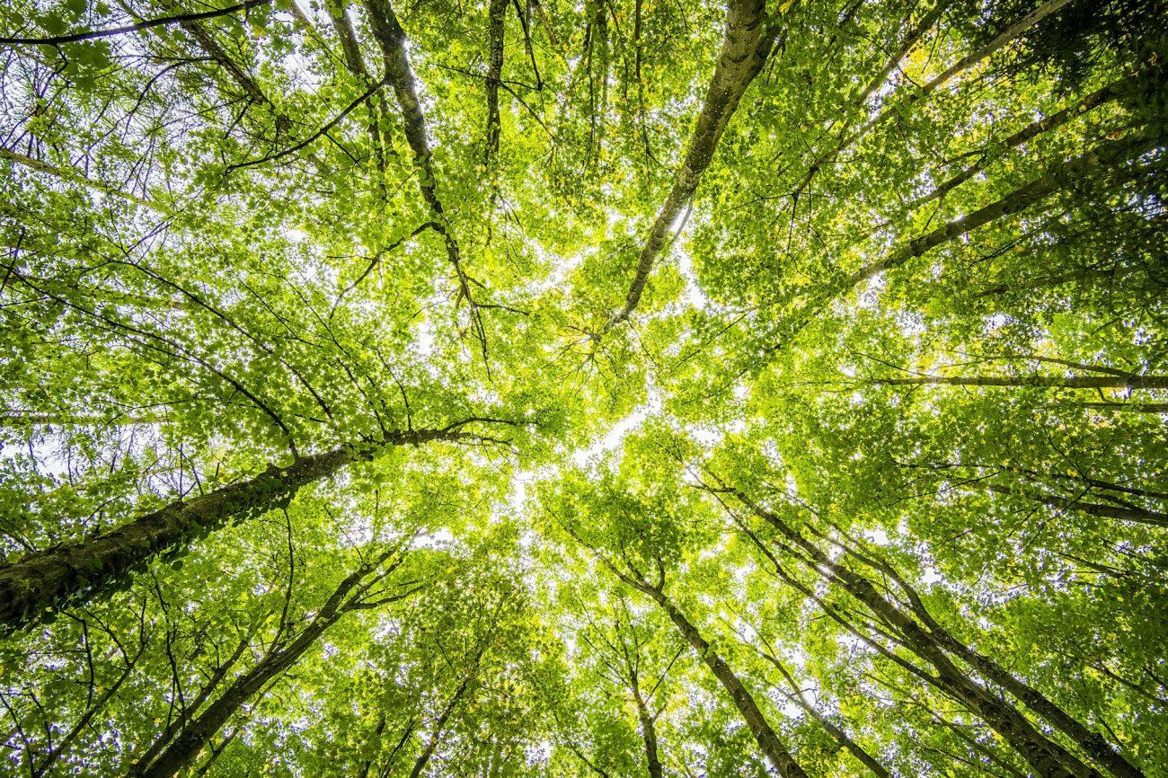 Secure your place on the Agilité Supply Chain Emissions Webinar