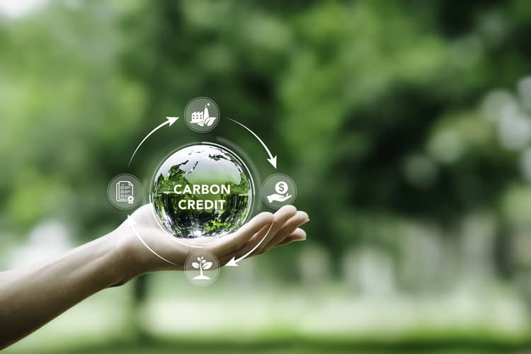NCZ carbon conscious events