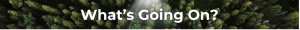 wp-content-uploads-2025-05-whats-going-on-300x30