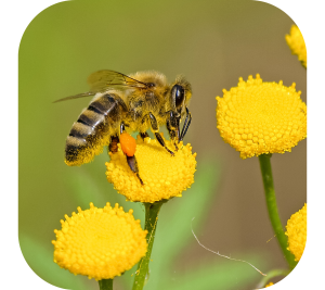 wp-content-uploads-2025-07-untitled-design-3-300x267