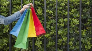 wp-content-uploads-2025-09-woman-with-many-bright-shopping-bags-near-plants-300x169