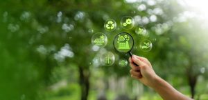 wp-content-uploads-2025-11-adobestock_1159171819-300x145